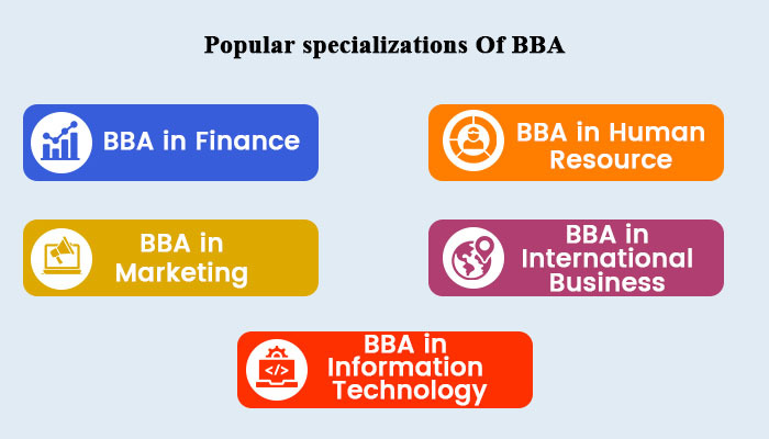 different types of Specializations in BBA