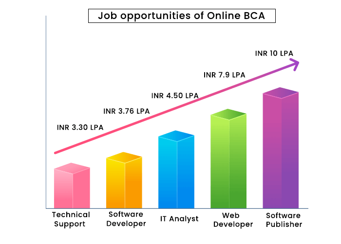 LPU Online BCA Online Job Position and Salary Structure