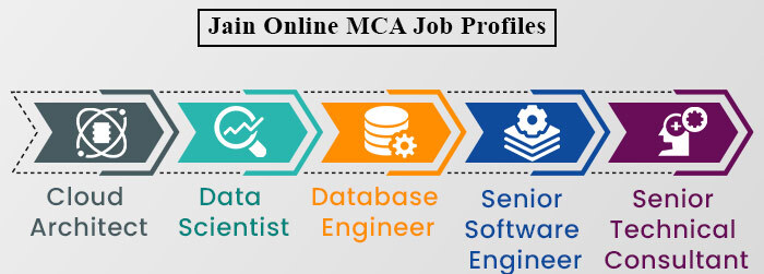 Job Profile after mca 