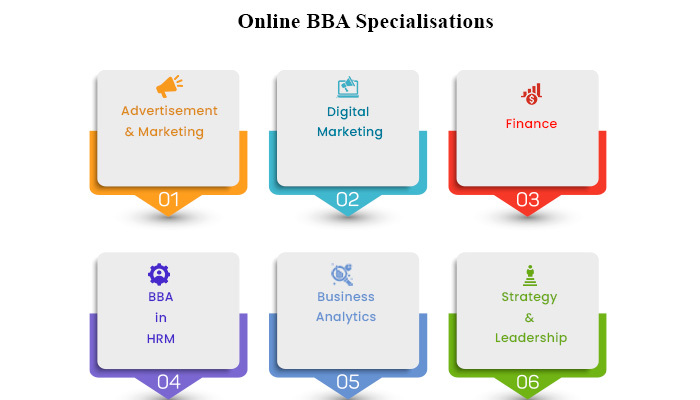 online bba Specilisation