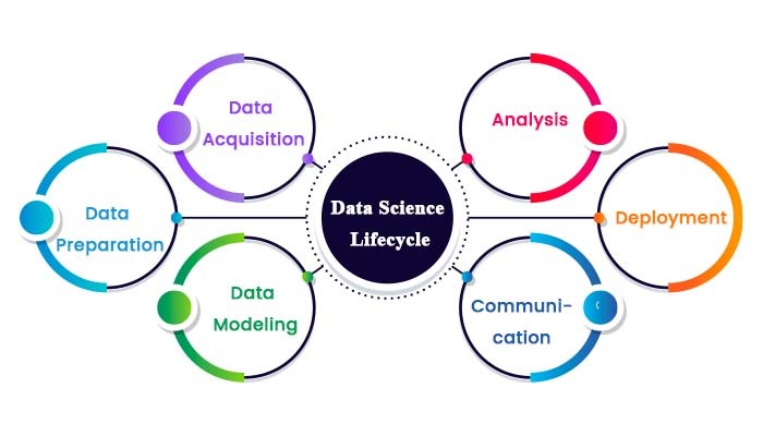 Data Science Lifecycle 