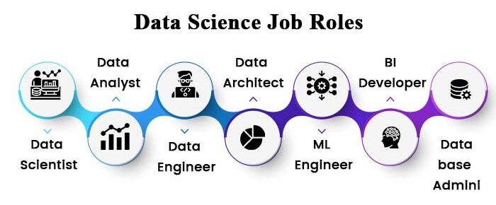 Job Roles & Salary in Data Science 
