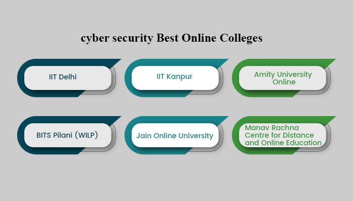 Cyber Security Online College 