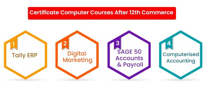 Certificate Computer Courses After 12th Commerce