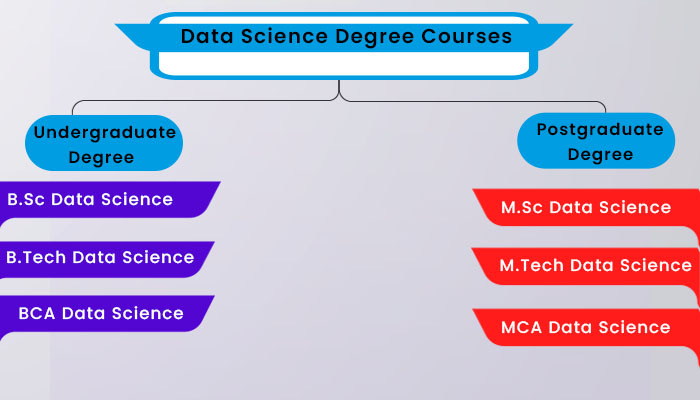 Data Science Degree Courses