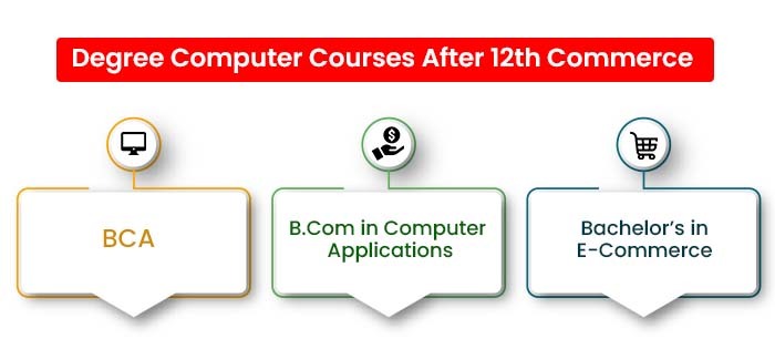 Degree Computer Courses After 12th Commerce