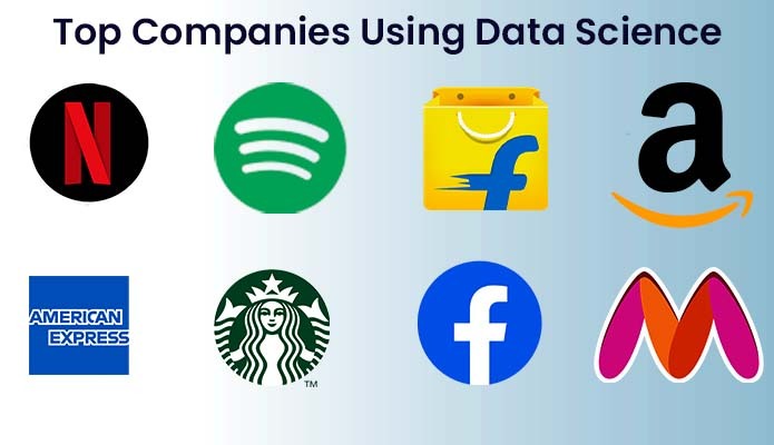 Top Companies Using Data Science