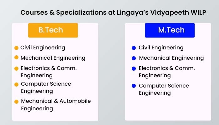 Courses & Specializations at Lingaya’s Vidyapeeth WILP