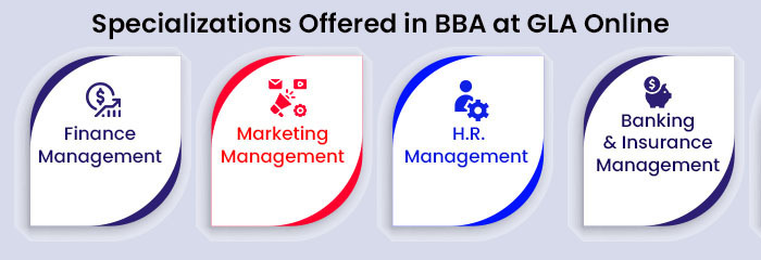 Specializations Offered in BBA at GLA Online