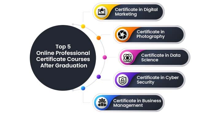 Top 5 online PROFESSIONAL CERTIFICATE Courses After Graduation