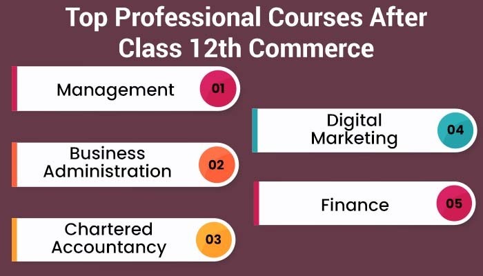 Top Professional Courses After Class 12th Commerce