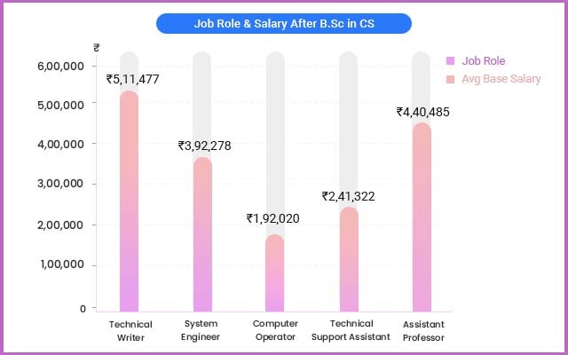 job roles after BSC in Computer Science